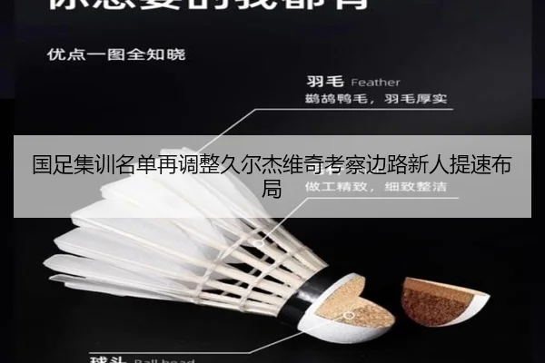 国足集训名单再调整久尔杰维奇考察边路新人提速布局